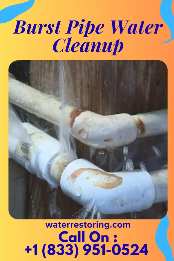 Burst Pipe Water Cleanup in Veblen, SD
