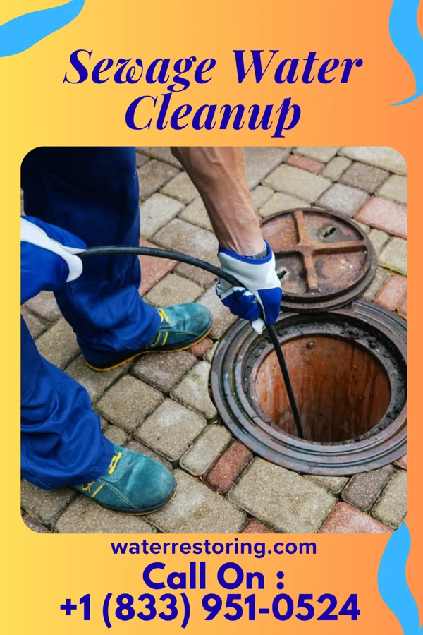 Sewage Water Cleanup in Veblen, SD